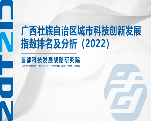 www.17c.con爆操调教【成果发布】广西壮族自治区城市科技创新发展指数排名及分析（2022）